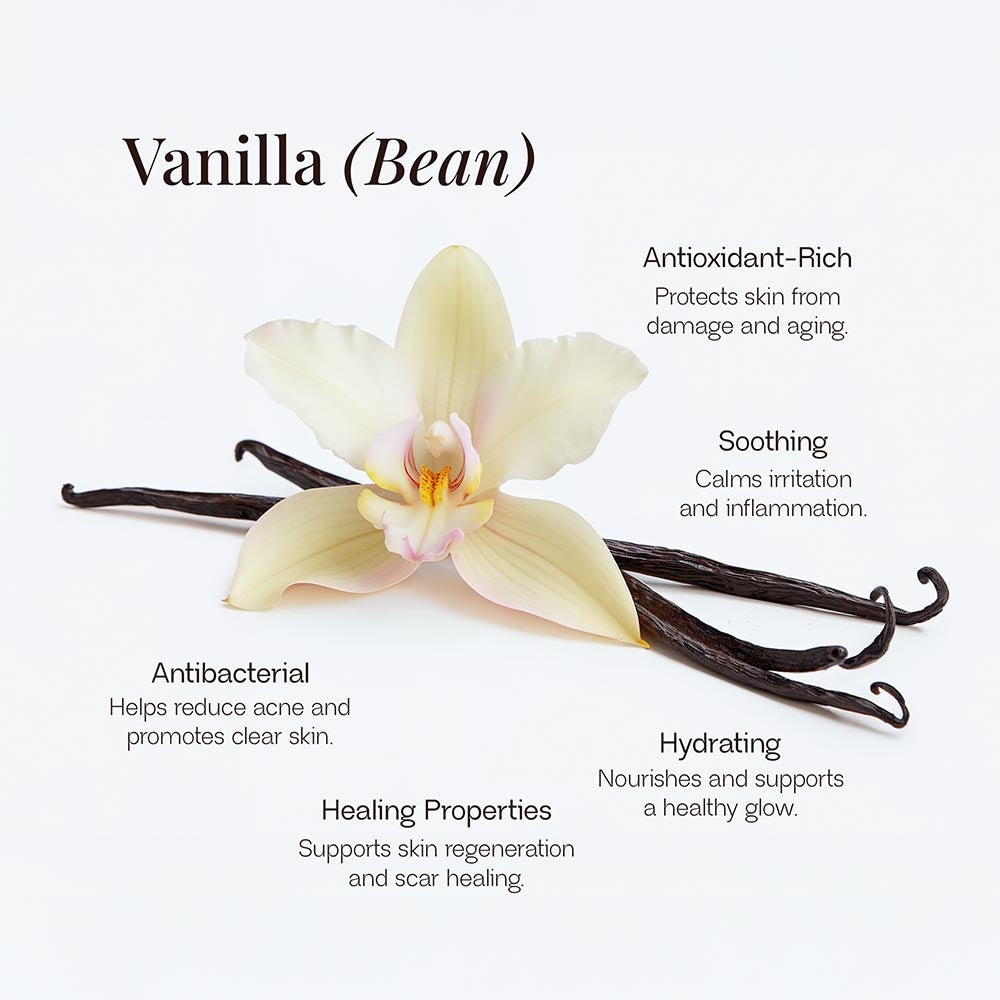 Every Day Essentials Whipped Grass-Fed Tallow Balm with Vanilla Bean