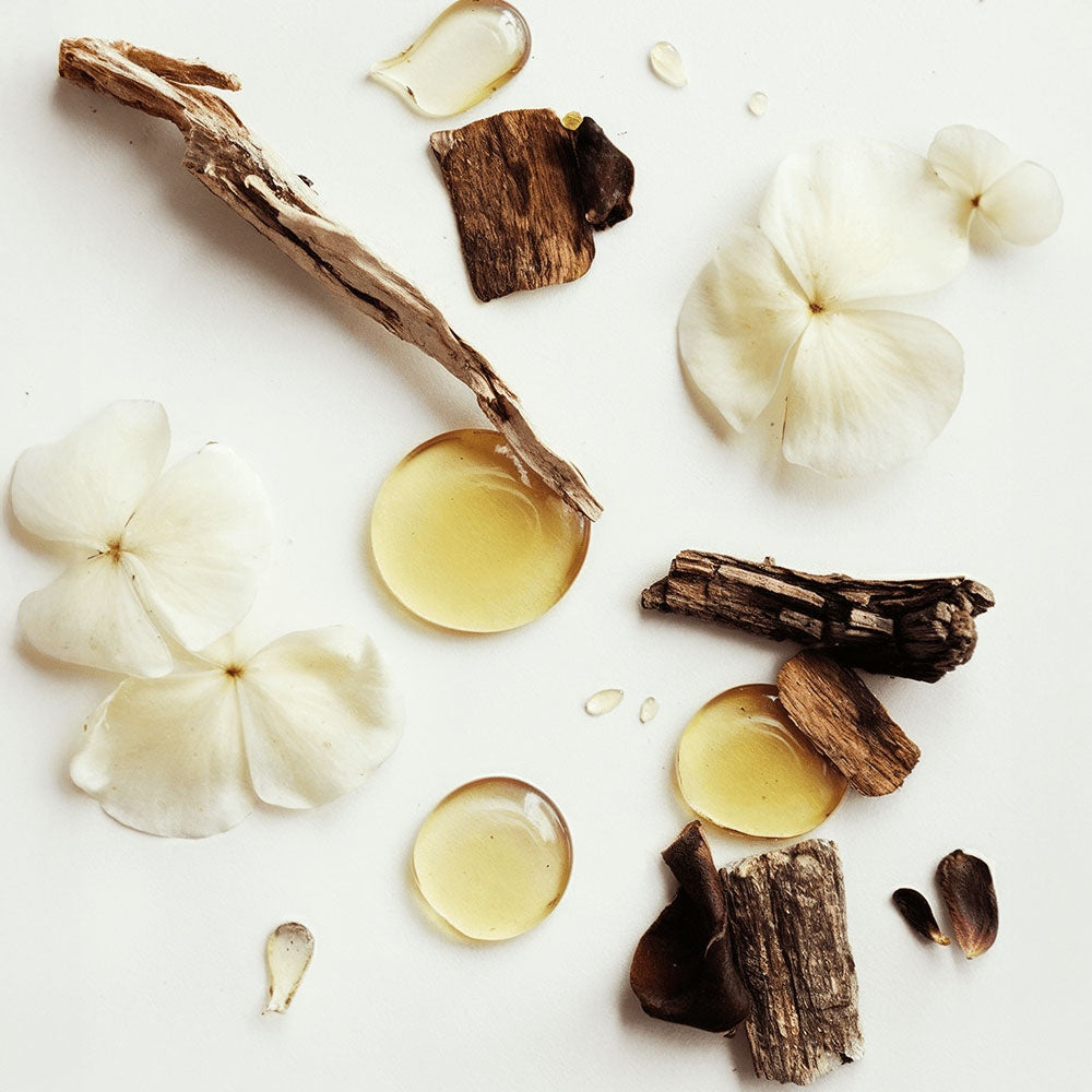 Limited Edition ✨ Whipped Grass-Fed Tallow Balm with Vanilla Bean