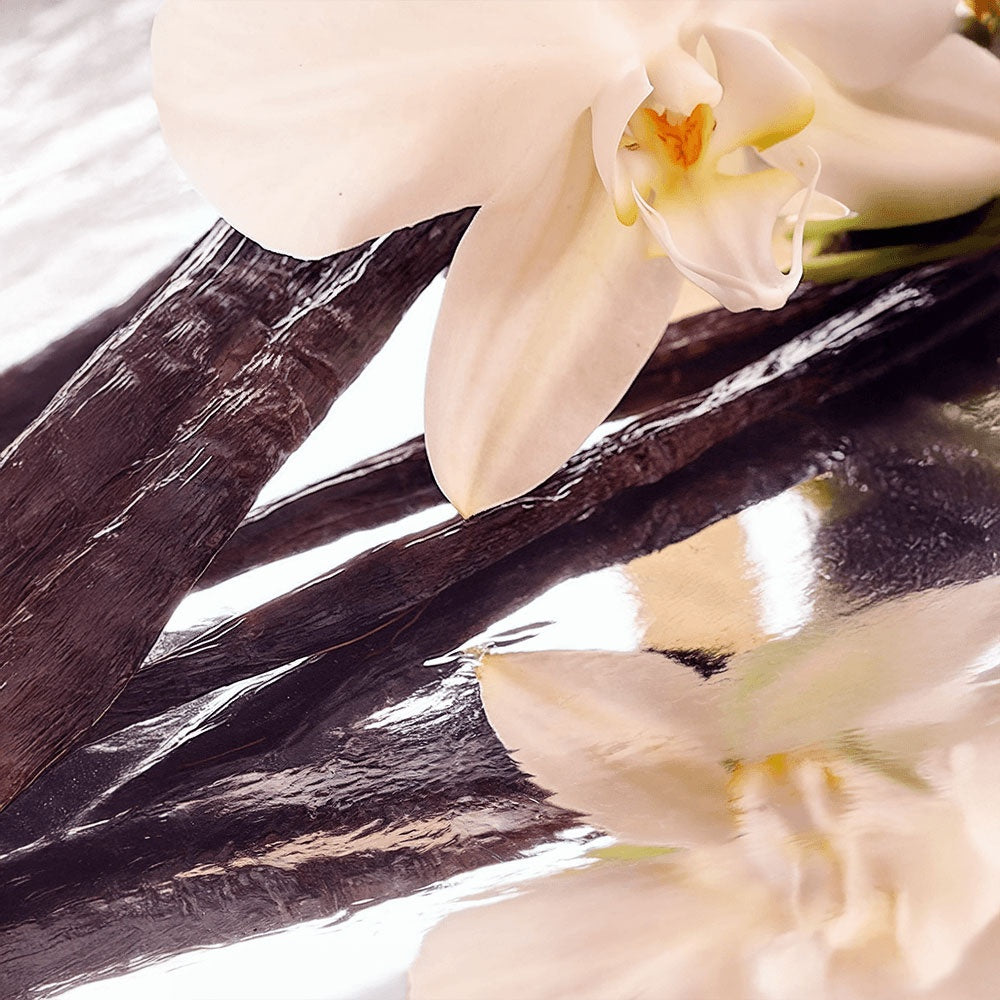 Every Day Essentials Whipped Grass-Fed Tallow Balm with Vanilla Bean